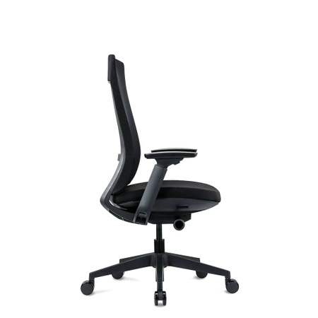 Fotel gabinetowy Corium - EFG 301B