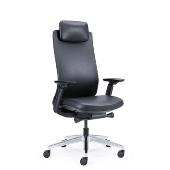 Fotel gabinetowy Corium - EFG 300BA