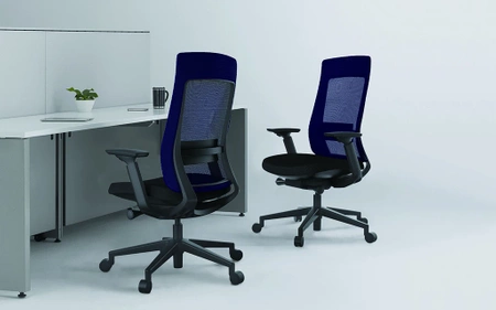 Fotel gabinetowy Corium - EFG 301W